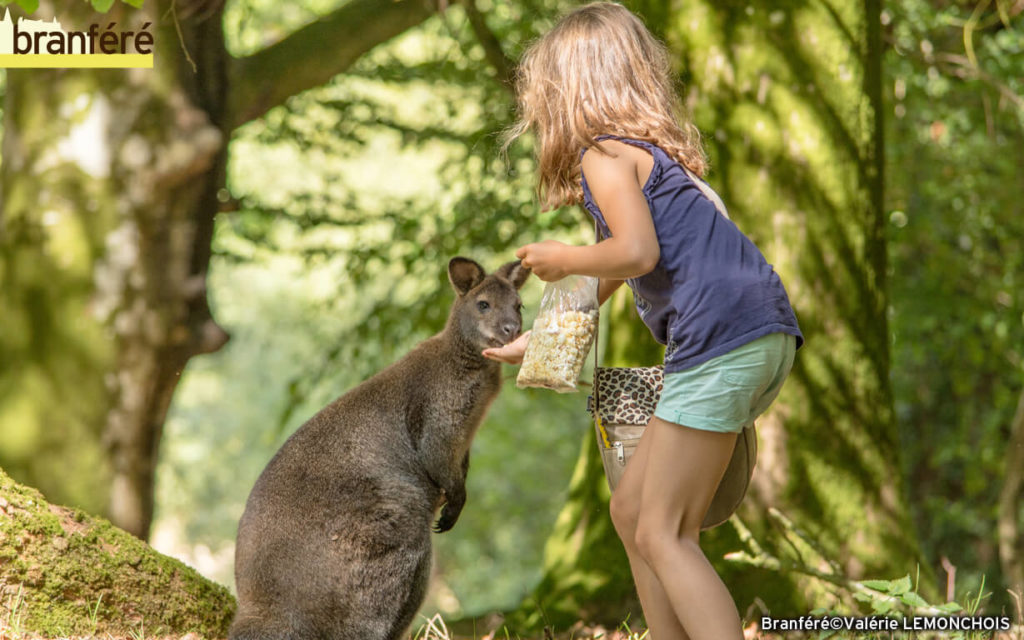 Résultats du concours photo de Branféré 2015