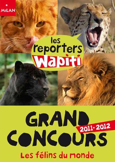 grand concours wapiti branféré