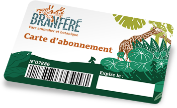 carte abonnement branféré prix réduit