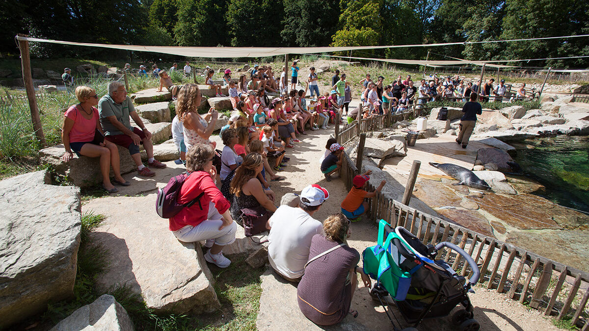 coulisse branféré 2019