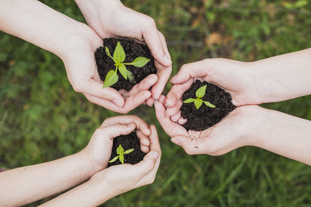 Formation civique et citoyenne à l’École de la Nature