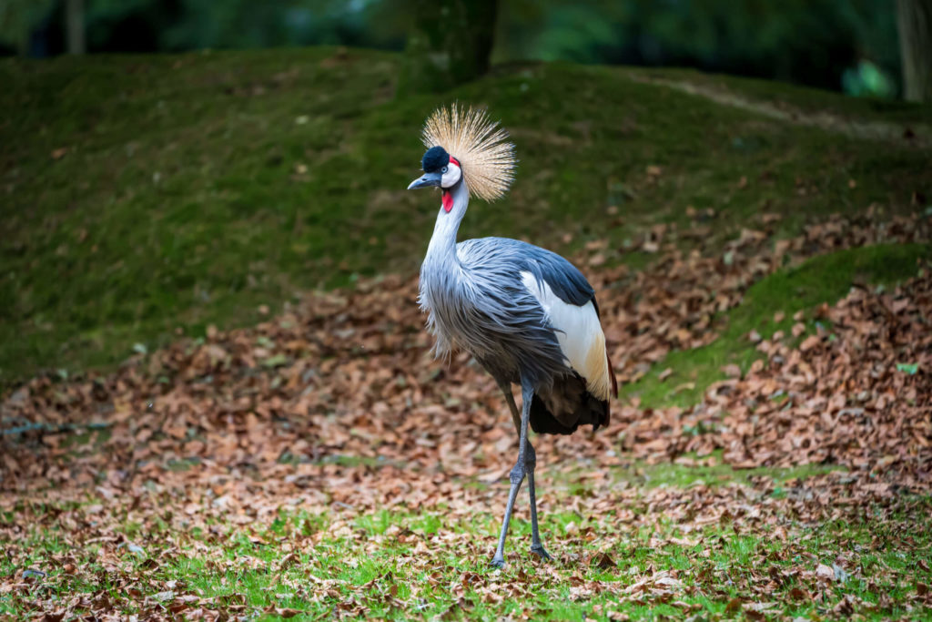 Fermeture prolongée du parc