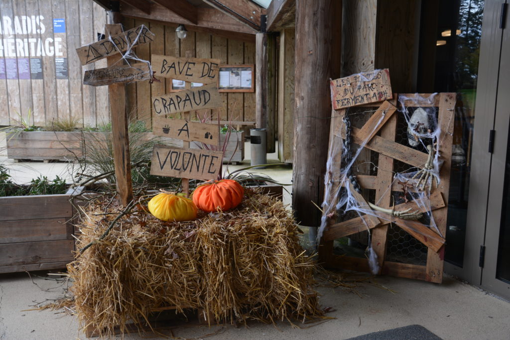 Vacances de la Toussaint et Halloween à Branféré