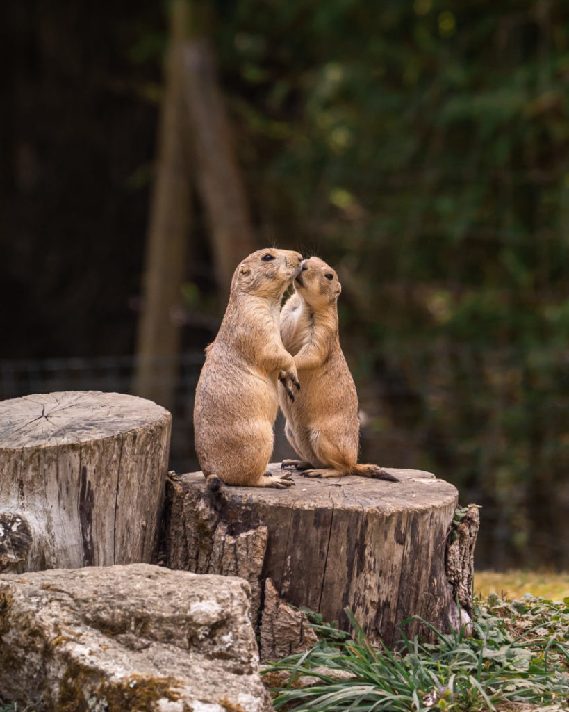 concours photo 2023 - coup de coeur du jury